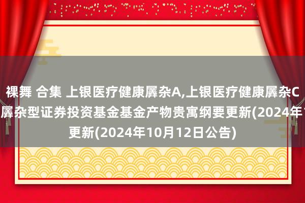 裸舞 合集 上银医疗健康羼杂A,上银医疗健康羼杂C: 上银医疗健康羼杂型证券投资基金基金产物贵寓纲要更新(2024年10月12日公告)