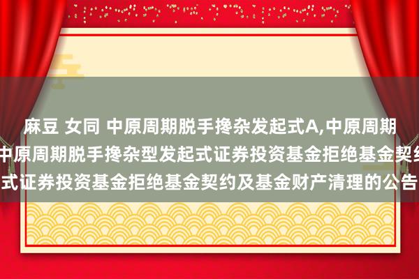 麻豆 女同 中原周期脱手搀杂发起式A,中原周期脱手搀杂发起式C: 对于中原周期脱手搀杂型发起式证券投资基金拒绝基金契约及基金财产清理的公告