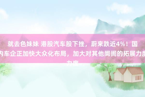 就去色妹妹 港股汽车股下挫，蔚来跌近4%！国内车企正加快大众化布局，加大对其他阛阓的拓展力度