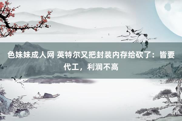 色妹妹成人网 英特尔又把封装内存给砍了：皆要代工，利润不高