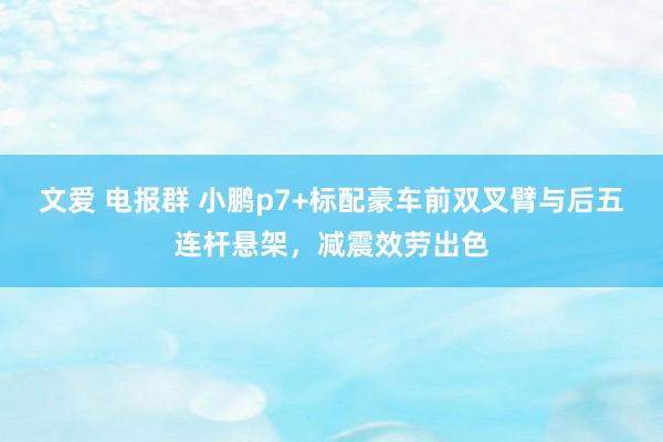 文爱 电报群 小鹏p7+标配豪车前双叉臂与后五连杆悬架，减震效劳出色