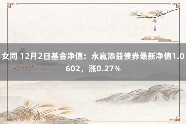 女同 12月2日基金净值：永赢添益债券最新净值1.0602，涨0.27%