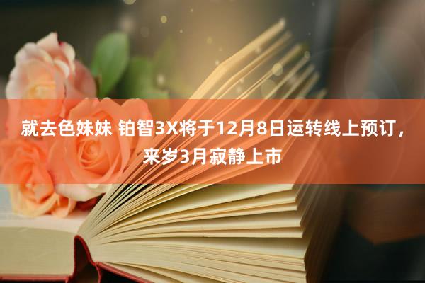 就去色妹妹 铂智3X将于12月8日运转线上预订，来岁3月寂静上市