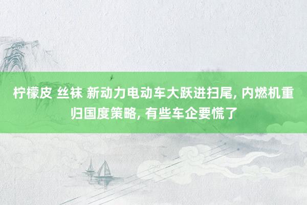 柠檬皮 丝袜 新动力电动车大跃进扫尾， 内燃机重归国度策略， 有些车企要慌了