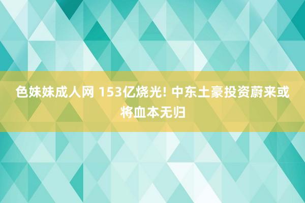 色妹妹成人网 153亿烧光! 中东土豪投资蔚来或将血本无归
