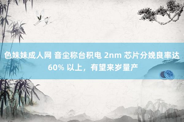 色妹妹成人网 音尘称台积电 2nm 芯片分娩良率达 60% 以上，有望来岁量产