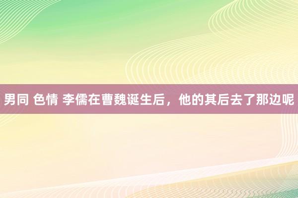 男同 色情 李儒在曹魏诞生后，他的其后去了那边呢