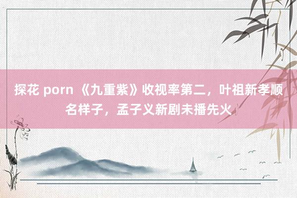 探花 porn 《九重紫》收视率第二，叶祖新孝顺名样子，孟子义新剧未播先火