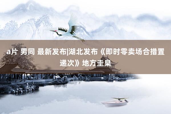 a片 男同 最新发布|湖北发布《即时零卖场合措置递次》地方圭臬