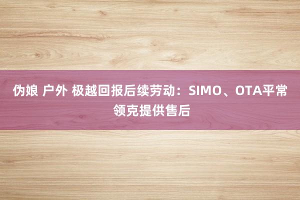 伪娘 户外 极越回报后续劳动：SIMO、OTA平常 领克提供售后