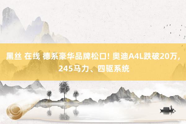 黑丝 在线 德系豪华品牌松口! 奥迪A4L跌破20万， 245马力、四驱系统