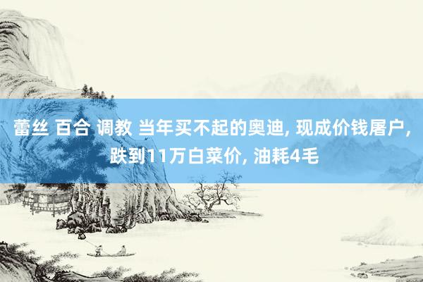 蕾丝 百合 调教 当年买不起的奥迪， 现成价钱屠户， 跌到11万白菜价， 油耗4毛