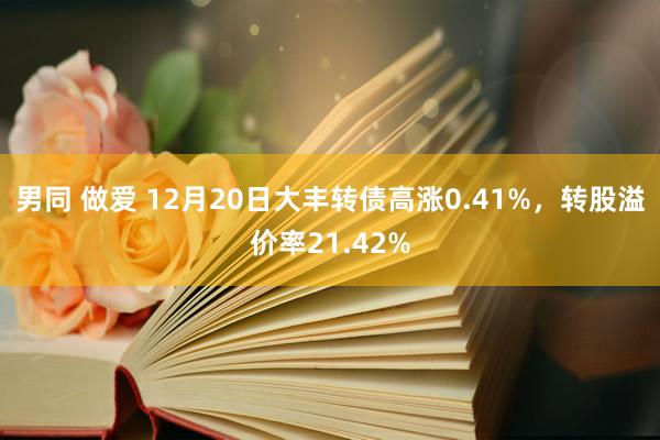 男同 做爱 12月20日大丰转债高涨0.41%,转股溢价率21.42%