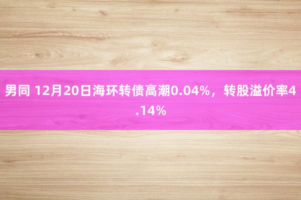 男同 12月20日海环转债高潮0.04%，转股溢价率4.14%