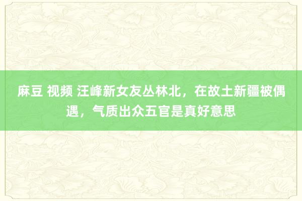 麻豆 视频 汪峰新女友丛林北，在故土新疆被偶遇，气质出众五官是真好意思