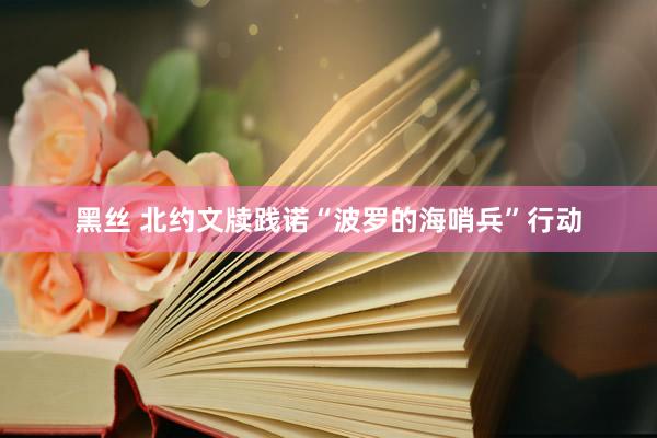 黑丝 北约文牍践诺“波罗的海哨兵”行动