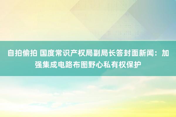 自拍偷拍 国度常识产权局副局长答封面新闻：加强集成电路布图野心私有权保护