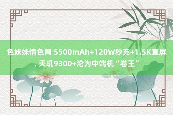 色妹妹情色网 5500mAh+120W秒充+1.5K直屏， 天玑9300+沦为中端机“卷王”