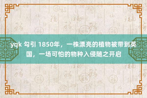 yqk 勾引 1850年，一株漂亮的植物被带到英国，一场可怕的物种入侵随之开启