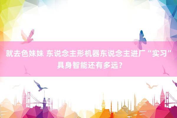 就去色妹妹 东说念主形机器东说念主进厂“实习” 具身智能还有多远？