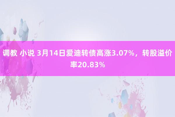 调教 小说 3月14日爱迪转债高涨3.07%，转股溢价率20.83%