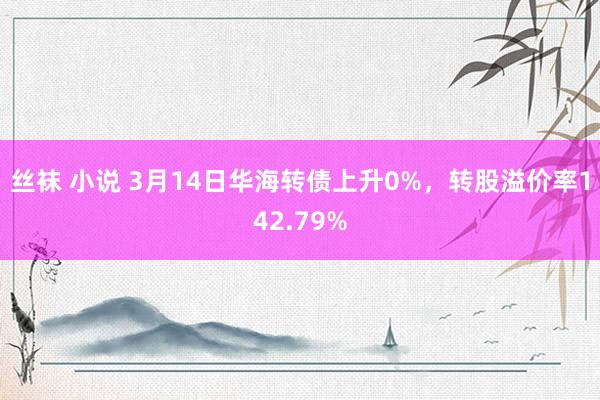 丝袜 小说 3月14日华海转债上升0%，转股溢价率142.79%