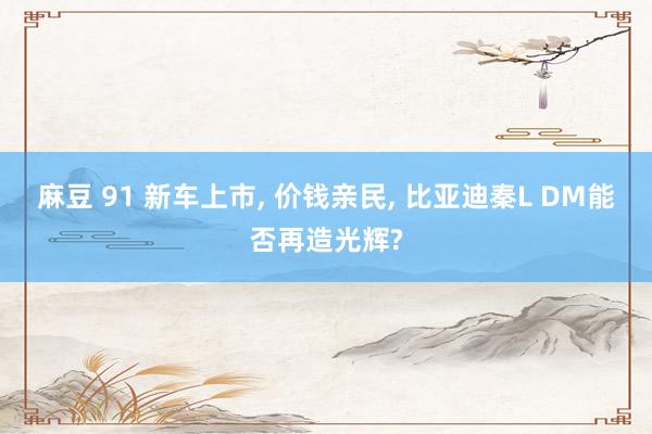 麻豆 91 新车上市， 价钱亲民， 比亚迪秦L DM能否再造光辉?