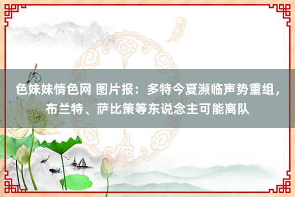 色妹妹情色网 图片报：多特今夏濒临声势重组，布兰特、萨比策等东说念主可能离队