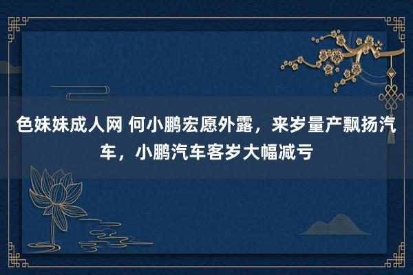 色妹妹成人网 何小鹏宏愿外露，来岁量产飘扬汽车，小鹏汽车客岁大幅减亏