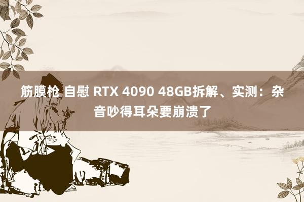 筋膜枪 自慰 RTX 4090 48GB拆解、实测：杂音吵得耳朵要崩溃了