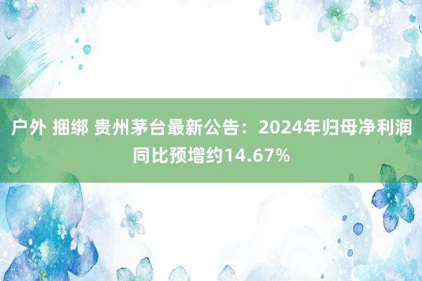 户外 捆绑 贵州茅台最新公告：2024年归母净利润同比预增约14.67%