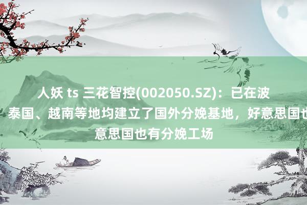 人妖 ts 三花智控(002050.SZ)：已在波兰、墨西哥、泰国、越南等地均建立了国外分娩基地，好意思国也有分娩工场