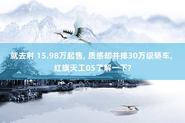 就去射 15.98万起售， 质感却并排30万级轿车， 红旗天工05了解一下?