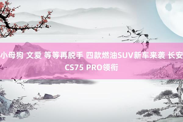 小母狗 文爱 等等再脱手 四款燃油SUV新车来袭 长安CS75 PRO领衔