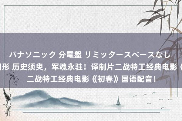 パナソニック 分電盤 リミッタースペースなし 露出・半埋込両用形 历史须臾，军魂永驻！译制片二战特工经典电影《初春》国语配音！