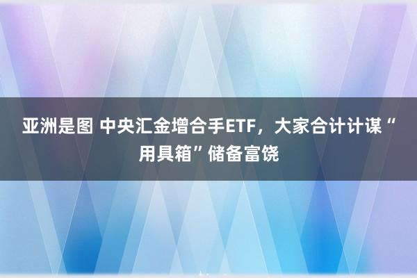 亚洲是图 中央汇金增合手ETF，大家合计计谋“用具箱”储备富饶