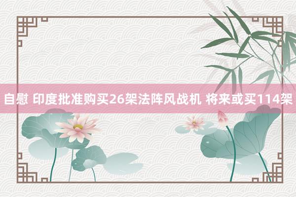 自慰 印度批准购买26架法阵风战机 将来或买114架