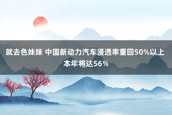 就去色妹妹 中国新动力汽车浸透率重回50%以上 本年将达56%