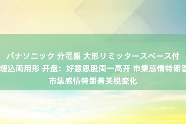 パナソニック 分電盤 大形リミッタースペース付 露出・半埋込両用形 开盘：好意思股周一高开 市集感情特朗普关税变化
