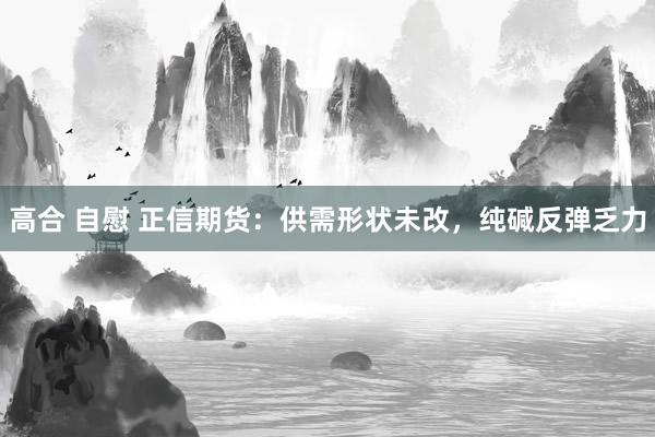 高合 自慰 正信期货：供需形状未改，纯碱反弹乏力