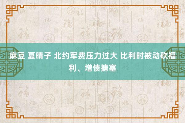 麻豆 夏晴子 北约军费压力过大 比利时被动砍福利、增债搪塞