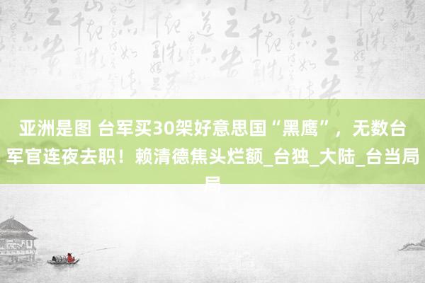 亚洲是图 台军买30架好意思国“黑鹰”，无数台军官连夜去职！赖清德焦头烂额_台独_大陆_台当局