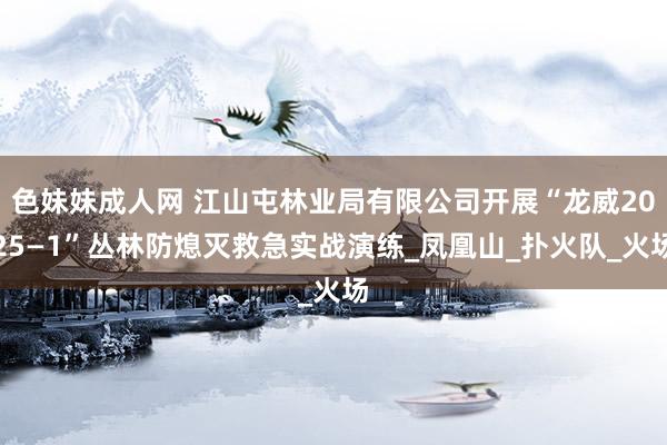 色妹妹成人网 江山屯林业局有限公司开展“龙威2025—1”丛林防熄灭救急实战演练_凤凰山_扑火队_火场