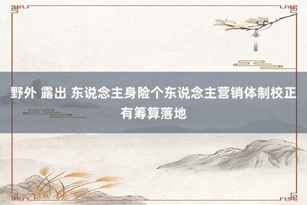 野外 露出 东说念主身险个东说念主营销体制校正有筹算落地