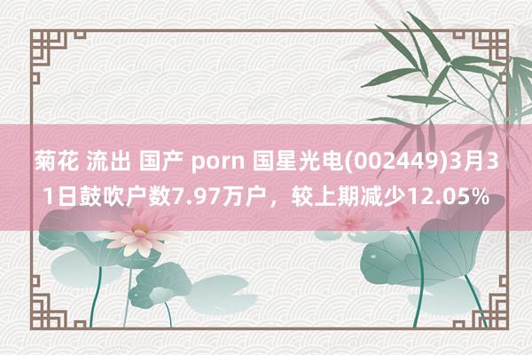 菊花 流出 国产 porn 国星光电(002449)3月31日鼓吹户数7.97万户，较上期减少12.05%