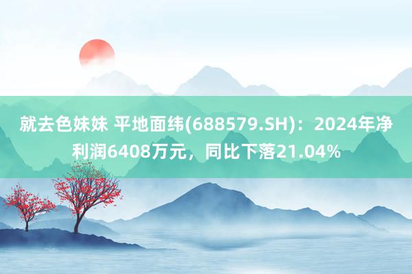 就去色妹妹 平地面纬(688579.SH)：2024年净利润6408万元，同比下落21.04%