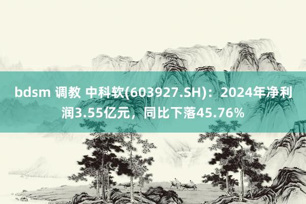 bdsm 调教 中科软(603927.SH):2024年净利润3.55亿元,同比下落45.76%