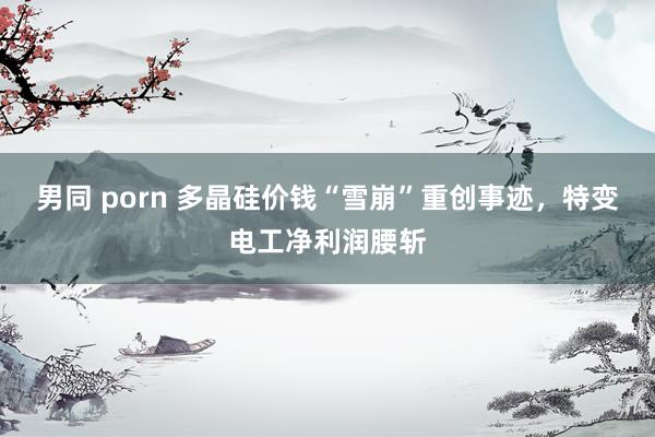 男同 porn 多晶硅价钱“雪崩”重创事迹，特变电工净利润腰斩