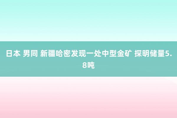 日本 男同 新疆哈密发现一处中型金矿 探明储量5.8吨