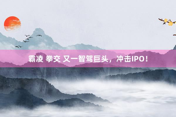 霸凌 拳交 又一智驾巨头，冲击IPO！